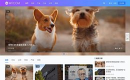 WordPress主题JustNews 5.7.3去授权完美破解版（附原版）